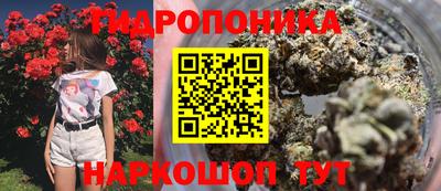 трава Будённовск