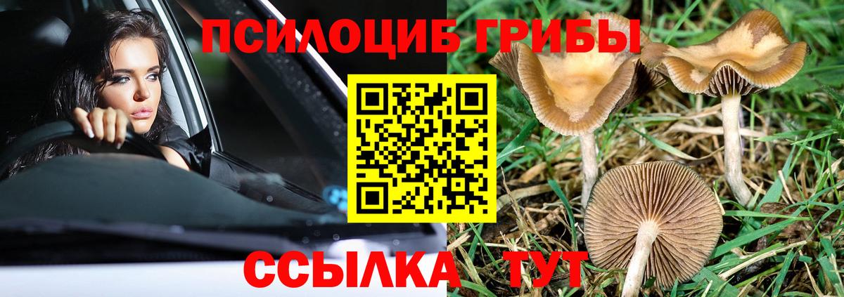 Галлюциногенные грибы GOLDEN TEACHER Лянтор